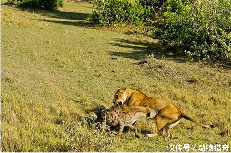 xingkong体育官网登录-台州消防举行地质性灾害应急救援