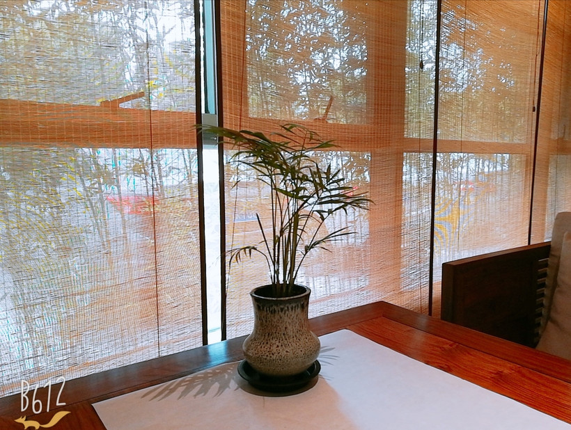 BLS颁奖盛典盛大举办，多元内容生态为B站直播护航‘星空体育