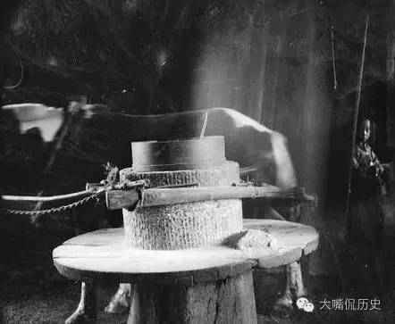 2014南外小升初简历投递时间、流程、注意事项汇总“星空官网