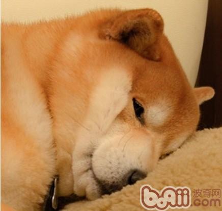 七首诗词 题目只有一个字 却依然流传千古_星空体育官网(图2)
七首诗词 题目只有一个字 却依然流传千古_星空体育官网(图2)