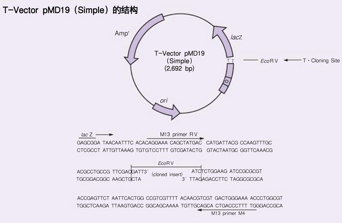 贵州贵阳消防指导派出所开展今冬明春消防安全检查【星空官网登录】(图4) xingkong体育官网登录