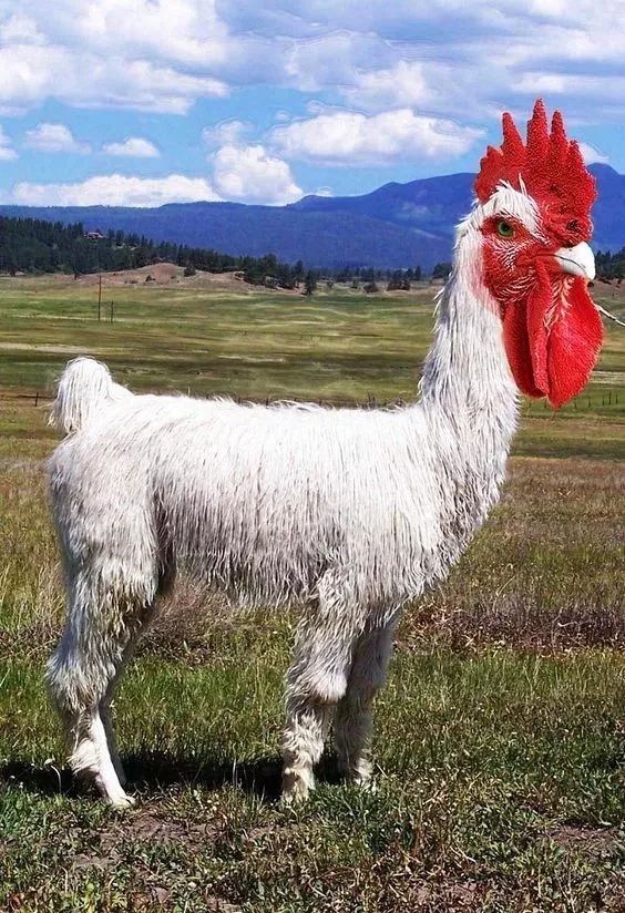 贵州贵阳消防指导派出所开展今冬明春消防安全检查【星空官网登录】(图2) 贵州贵阳消防指导派出所开展今冬明春消防安全检查【星空官网登录】(图2)