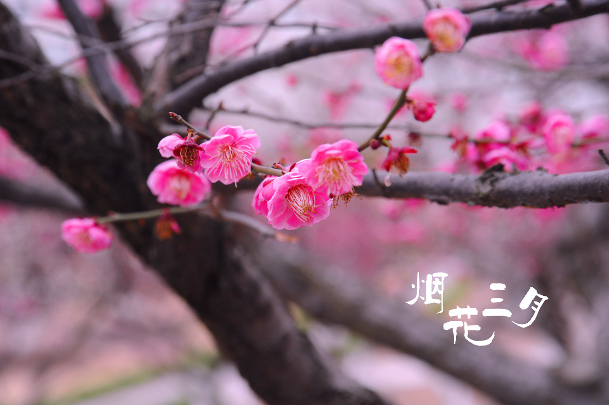 xingkong.com-萍乡支队扎实推进“消防融入品牌”宣传工作(图3)