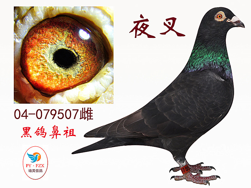 xingkong体育官网登录