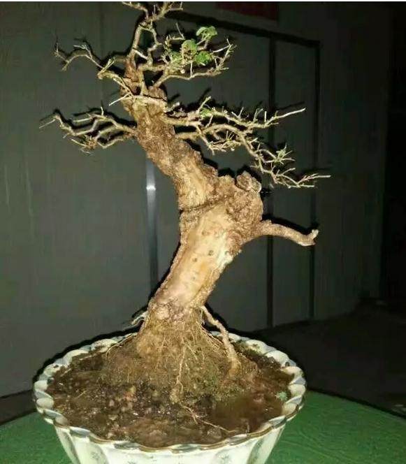 xingkong体育官网登录